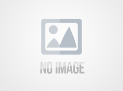 Nhờ cảnh sát minh oan ‘không ngoại tình’ khi vợ tin thầy bói online